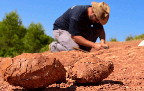 La Direction Archéologie