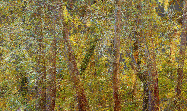 Exposition "Pointillisme : Provence" de Quayola