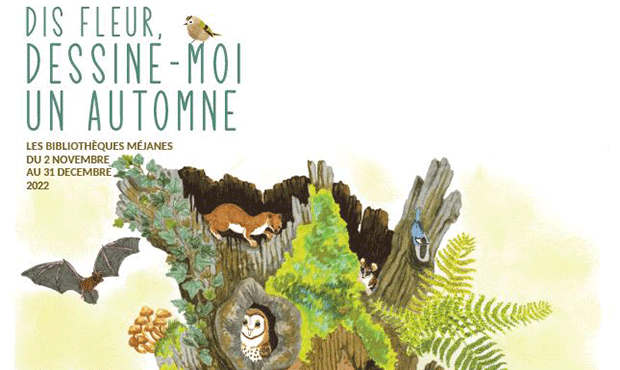 Dessine-moi un automne