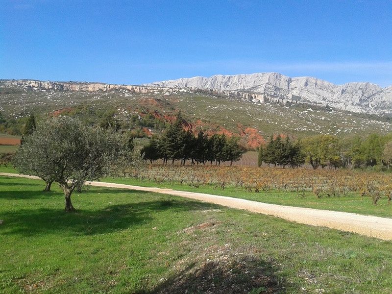 Un après-midi dans les vignobles au pays de Cezanne - TY5PM