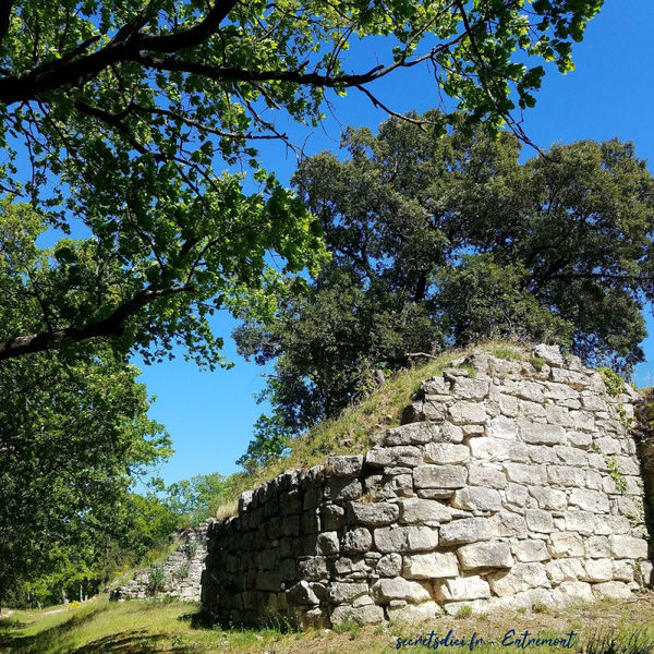 Visite guidée pédestre : L'oppidum d'Entremont