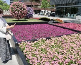 Installations florales pour la 38e Foire des Villes fleuries