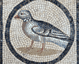 Pigeon, détail de la mosaïque d'Ariane et Bacchus - 38/42 boulevard de (…)