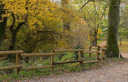 Endonora, une appli de parcours sportifs