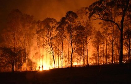 Plan de Prévention des Risques d'Incendies et de Forêts (PPRIF)