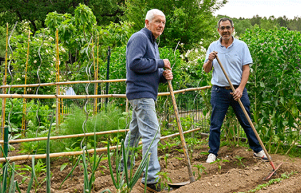 Les Jardins collectifs de la Petite Thumine
