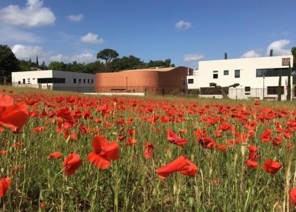 Portes Ouvertes - École Internationale IBS of Provence