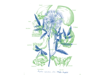 La Chute, histoire d'un châtiment silencieux