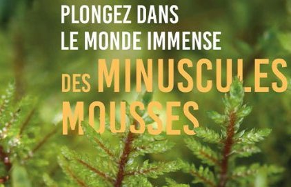 Conférence "Plongez dans le monde immense des minuscules mousses"