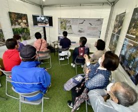 Visite en live depuis le Japon du jardin japonais au parc Saint-Mitre