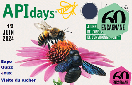 Journée autour des abeilles au Jardin Cardalino
