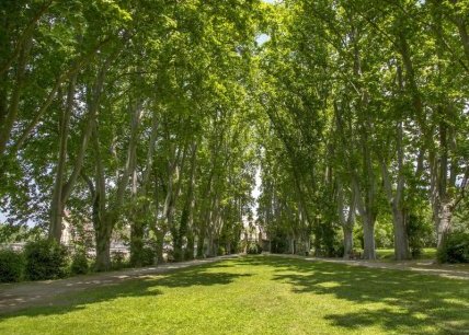 Visite approfondie en français de la bastide du Jas de Bouffan