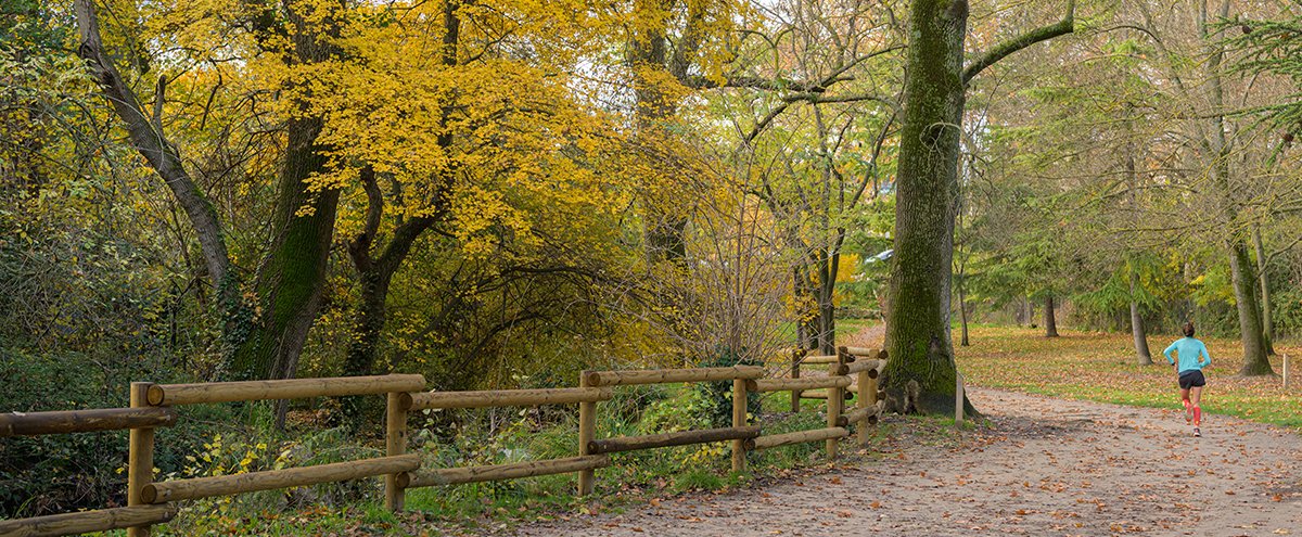 Le parc naturel urbain continue son chemin