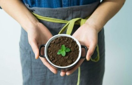 Distribution gratuite de compost