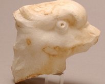 Tête de griffon