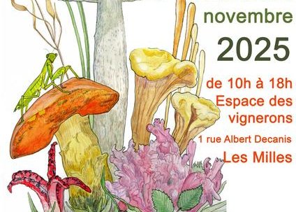 Salon du champignon