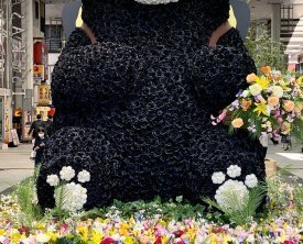 La mascotte de la ville, Kumamon