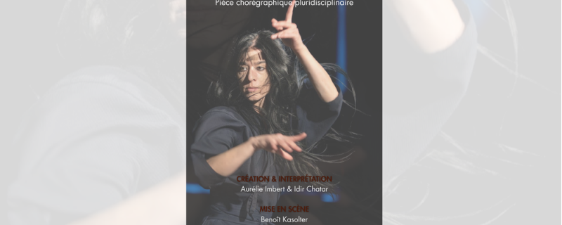 Spectacle : Projet Nakata