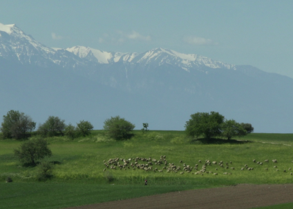 Soirée astrale #20 Été