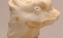 Tête de griffon