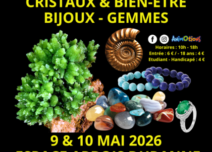 Salon Minéraux Fossiles Cristaux & Bien-Être Bijoux et Gemmes d'Aix&nbsp;(…)