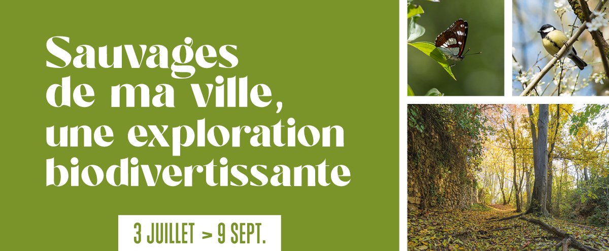 Exposition "Sauvages de ma ville, une exploration biodivertissante"