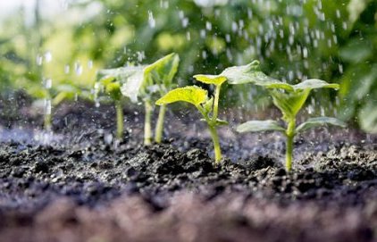 Agriculture : accompagner un changement de pratiques