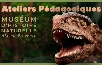 Ateliers pédagogiques du Muséum d'Histoire Naturelle - Vacances de la&nbsp;(…)