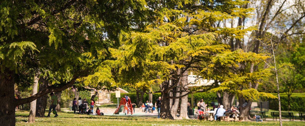 Parc St Mitre