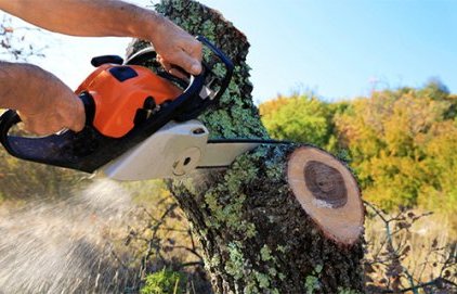 Réunion d'information sur les obligations légales de débroussaillement&nbsp;(…)