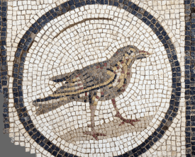 Grive, détail de la mosaïque d'Ariane et Bacchus - 38/42 boulevard de (…)