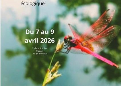 Enchanter le Ruisseau des Corneilles