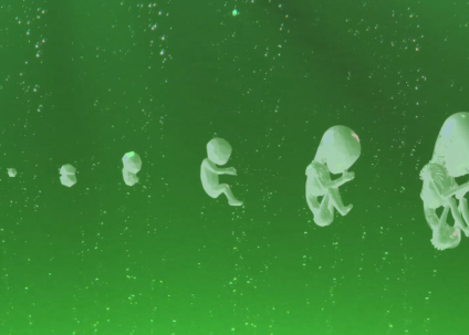 Créatures de substitution