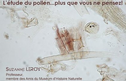 Conférence "L'étude du pollen... plus que vous ne pensez (...)