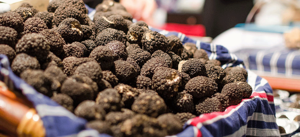 Appel à candidatures marché aux truffes 2025