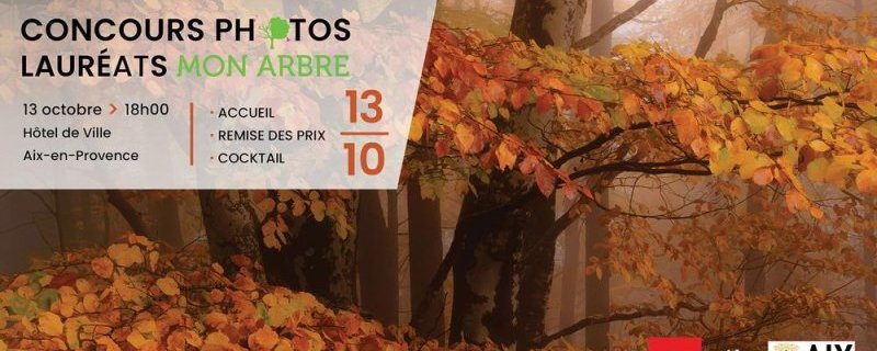 Remise des prix Concours photos Mon Arbre