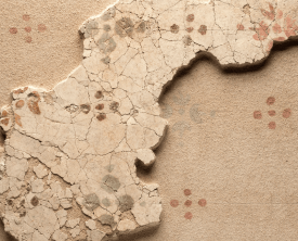 Décor de plafond, ou de voute surbaissée à décor de fleurons - Maison au (…)