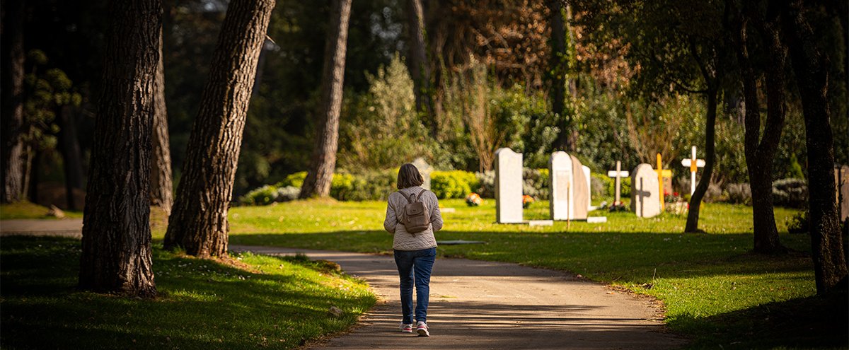Le cimetière du Grand Saint-Jean : paradis vert