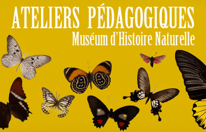 Ateliers d'été au Muséum d'Histoire Naturelle