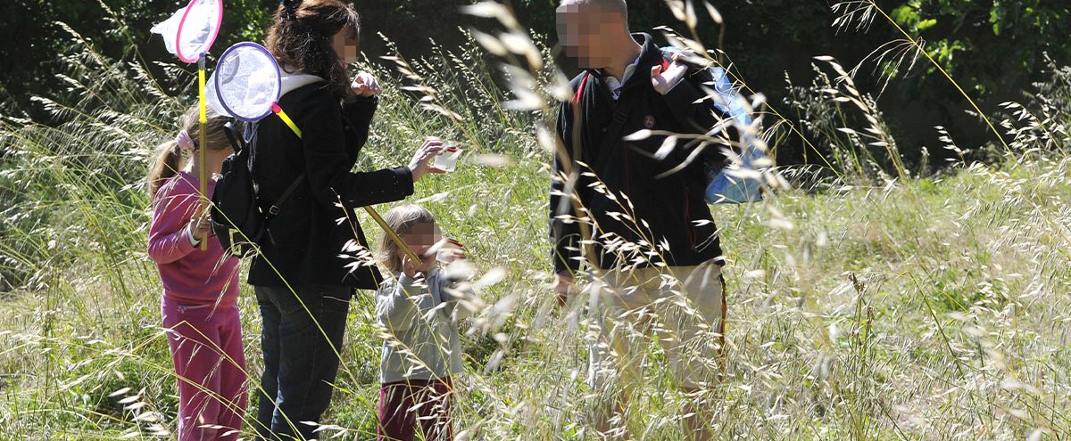 Ateliers ludiques autour de l'environnement - Samedi 25 juin