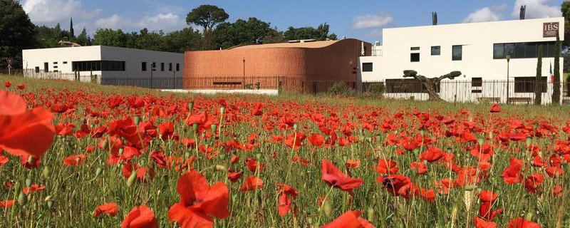 Portes Ouvertes - École Internationale IBS of Provence