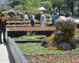 Installations florales pour la 38e Foire des Villes fleuries