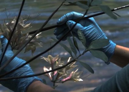 Soirée Astrale #19 Printemps