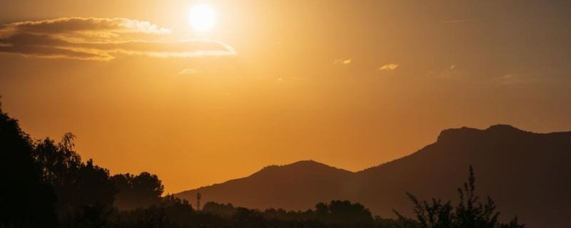 Visite insolite : vendange au lever du soleil