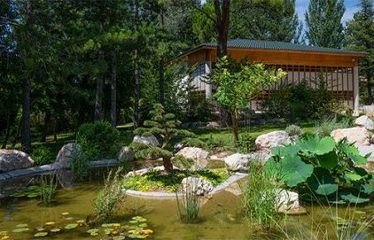 Jardin japonais