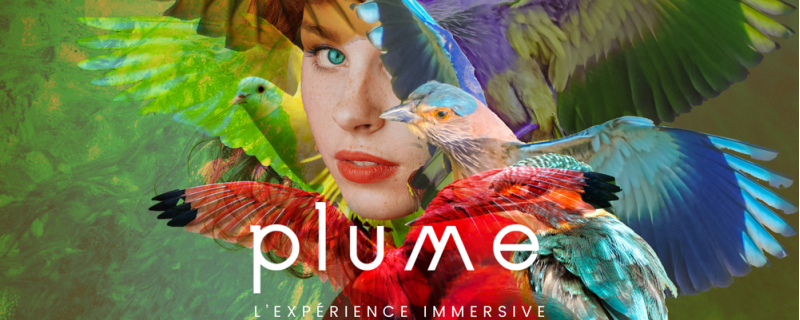 PLUME - l'expérience immersive