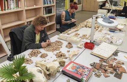 Les recherches scientifiques