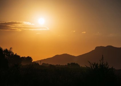 Visite insolite : vendange au lever du soleil