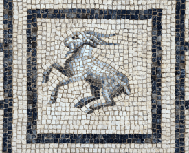 Chèvre, détail de la mosaïque d'Ariane et Bacchus - 38/42 boulevard de (…)