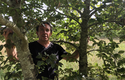 Conférence - "Le musée de l'invisible : de la grotte aux arbres"